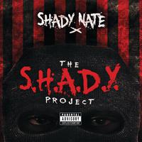 The S.H.A.D.Y. Project