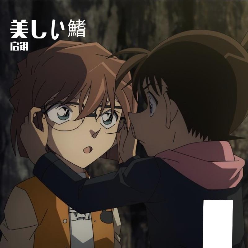 美丽的鳍（名侦探柯南·黑铁的鱼影《美しい鰭》中文版）封面