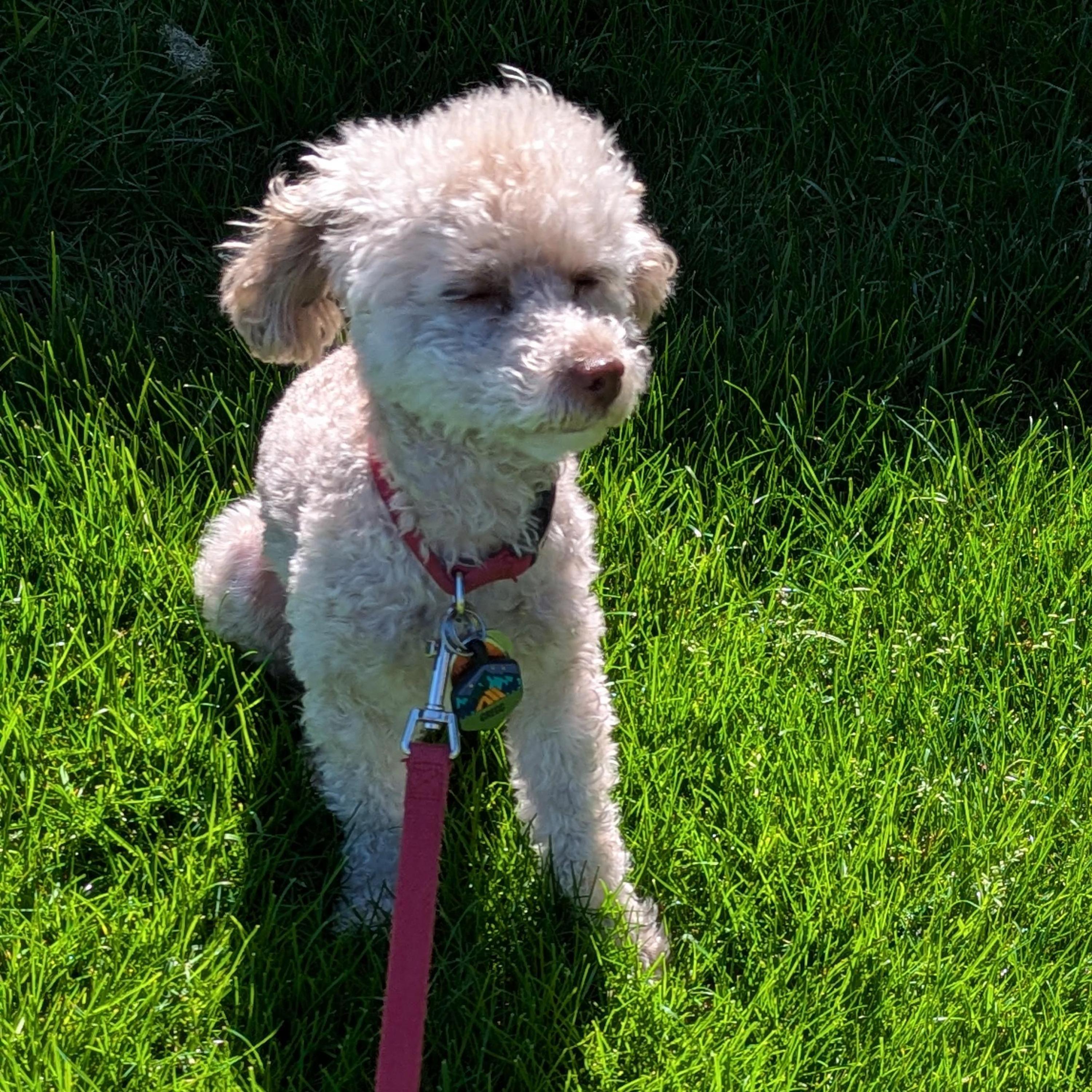 Tape 222 (Saturdays are for Dads)