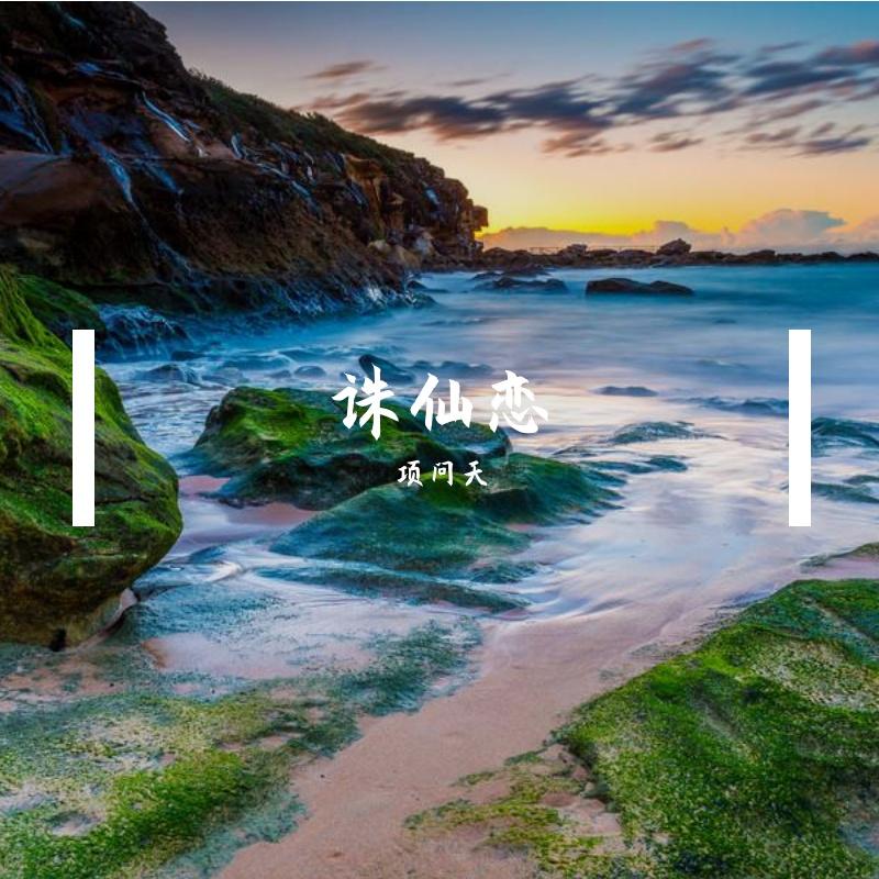 恋蝶封面