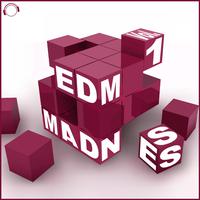 EDM Madness, Vol. 1