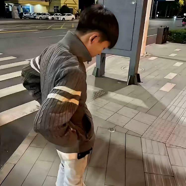 不死鸟封面