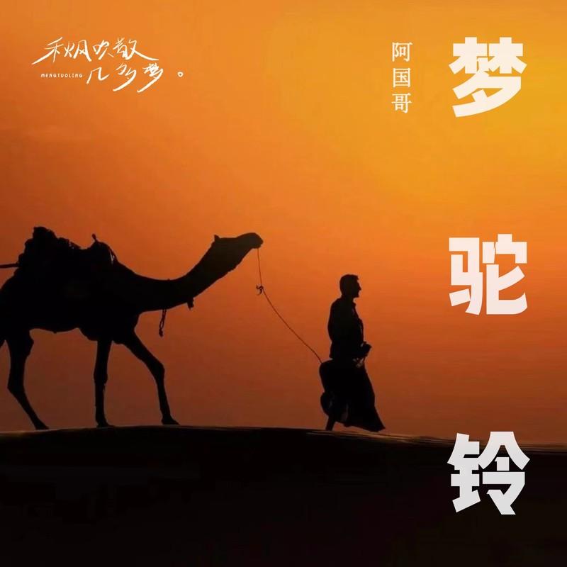 梦驼铃 (DJ粤语版)封面
