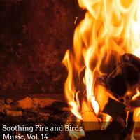 Soothing Fire and Birds Music, Vol. 14