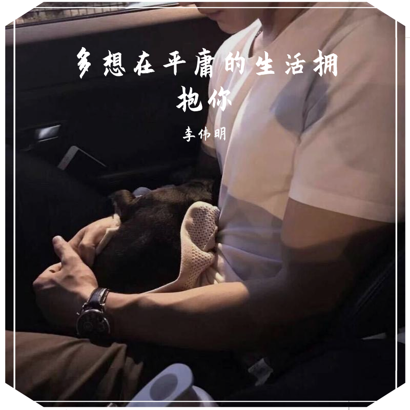 多想在平庸的生活拥抱你封面
