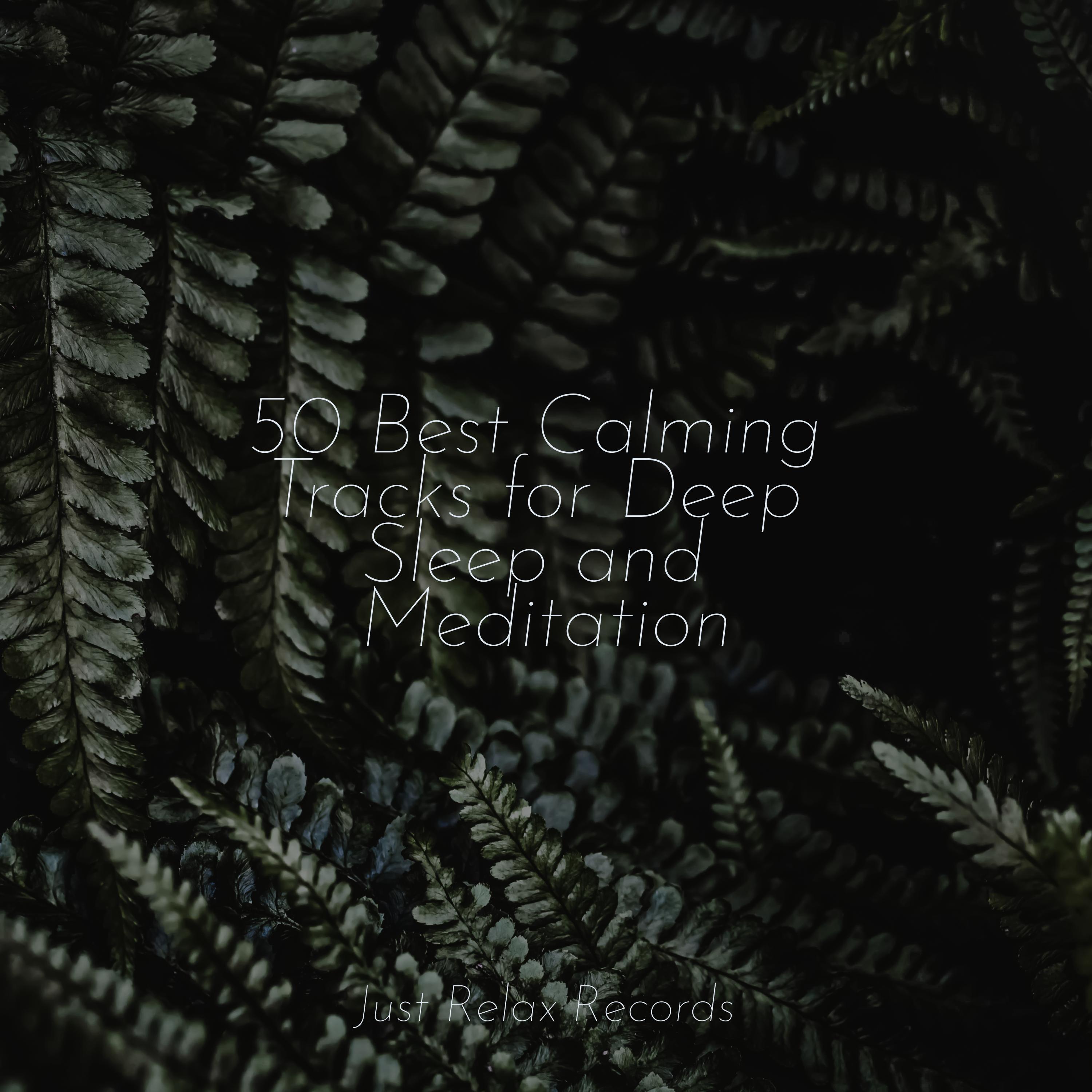 Melodic Storm Siren Meditación Guiada/Canciones De Cuna/Natural