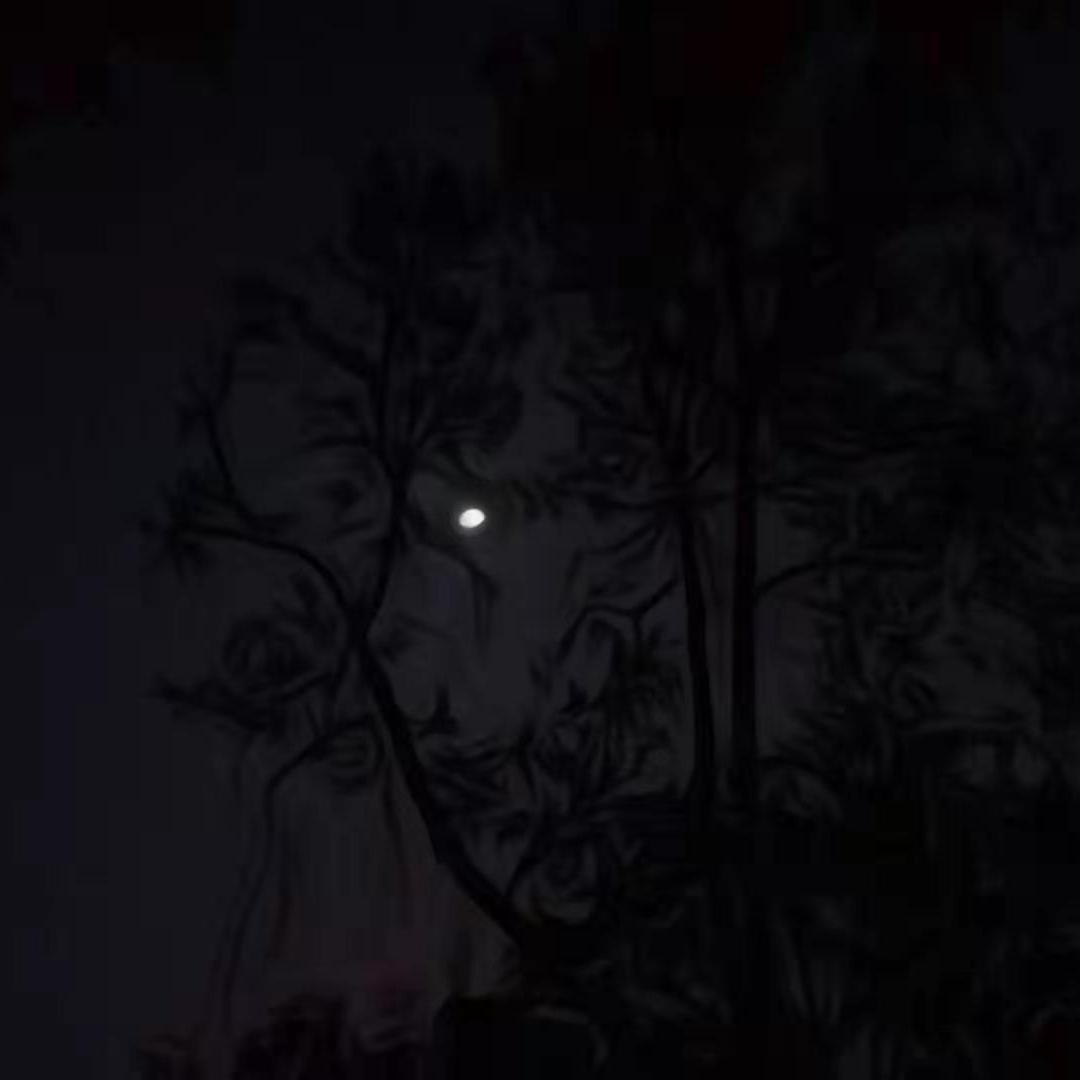 因为他给了一个理由