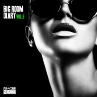 Big Room Diary, Vol. 2