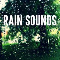 Sleepy Rain Sounds