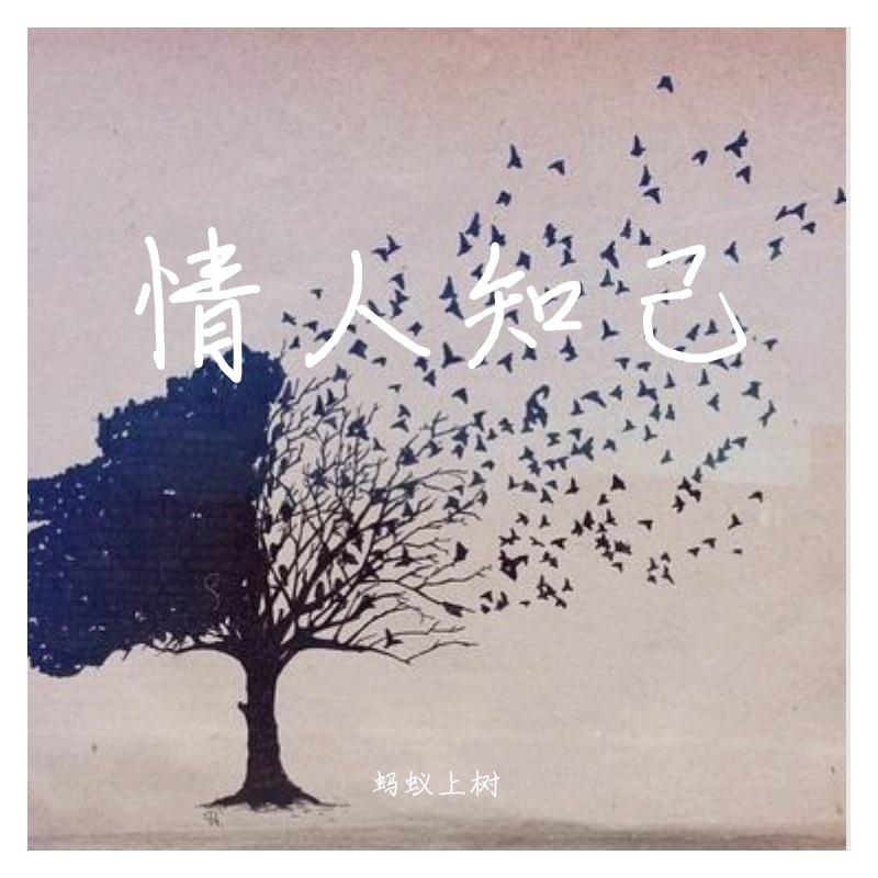 酒醉的蝴蝶封面
