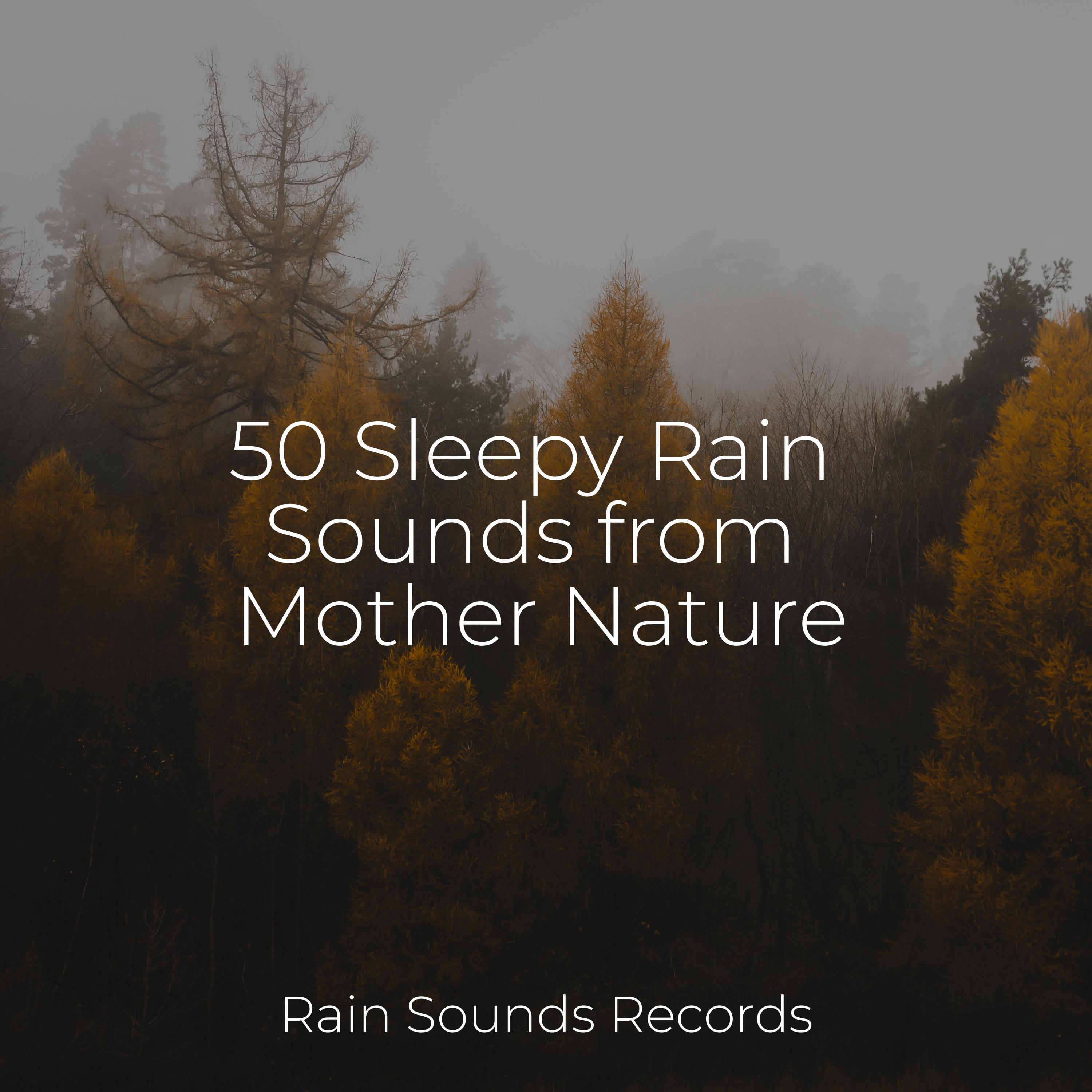 Avian Rhythms - Meeresrauschen Nature Sound Collection Relaxing 