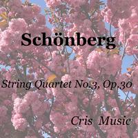 Schönberg: String Quartet No.3, Op.30