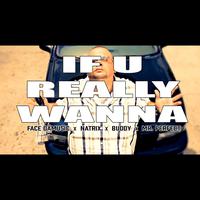 If U Really Wanna (feat. Natrix, Buddy & Mr. Perfect)