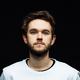 Zedd