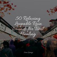 50 Relaxing Loopable Rain Sounds for Total Healing