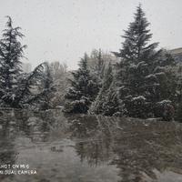 亚昕资料,亚昕最新歌曲,亚昕MV视频,亚昕音乐专辑,亚昕好听的歌