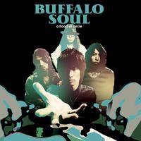 BUFFALO SOUL