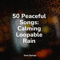 50 Peaceful Songs: Calming Loopable Rain