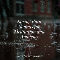 Spring Rain Sounds for Meditation and Ambience