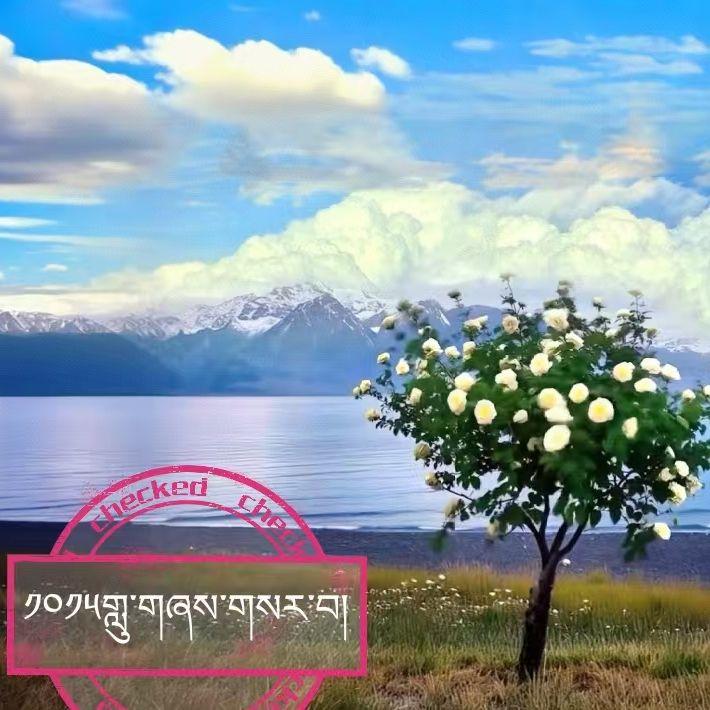 太阳东边升起封面
