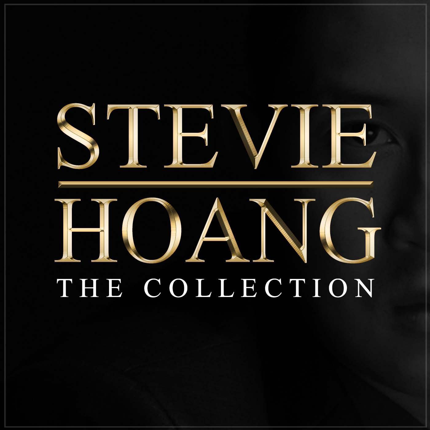 Before You Break My Heart Stevie Hoang 单曲 网易云音乐 