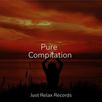 Pure Compilation