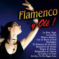 Flamenco y Olé