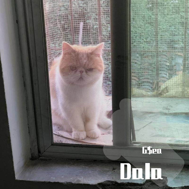 Dala