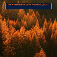 The Wakefulness of Nature Music, Vol. 3