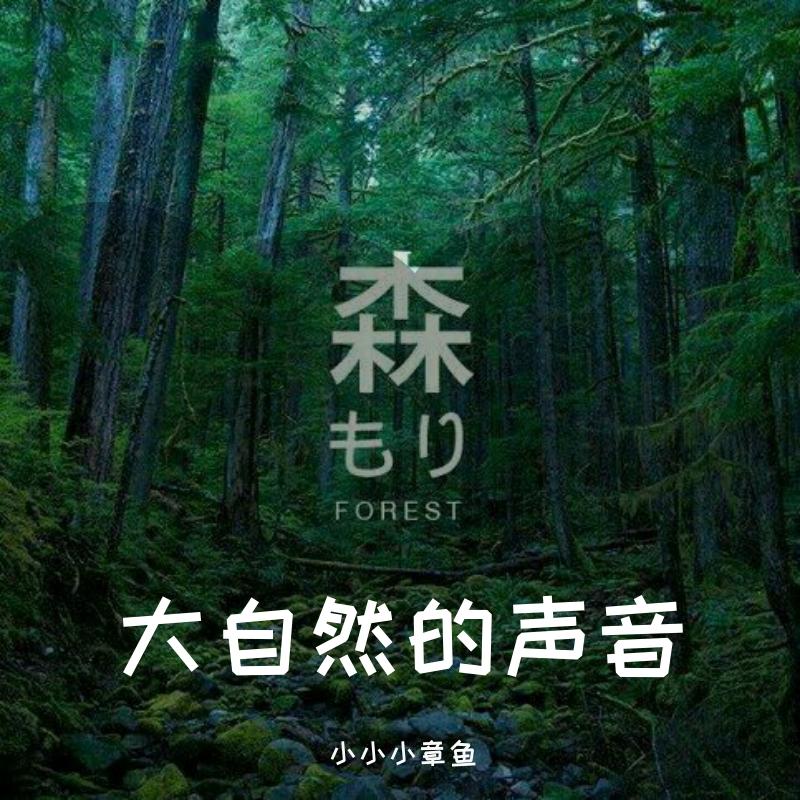 清晨的美好(钢琴曲)封面