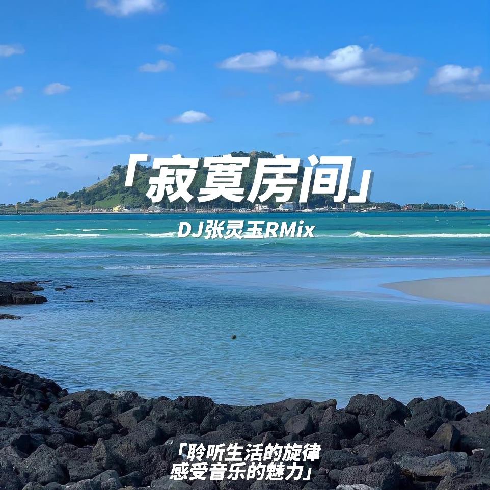 郑晓填-寂寞房间 DJ张灵玉RMix封面