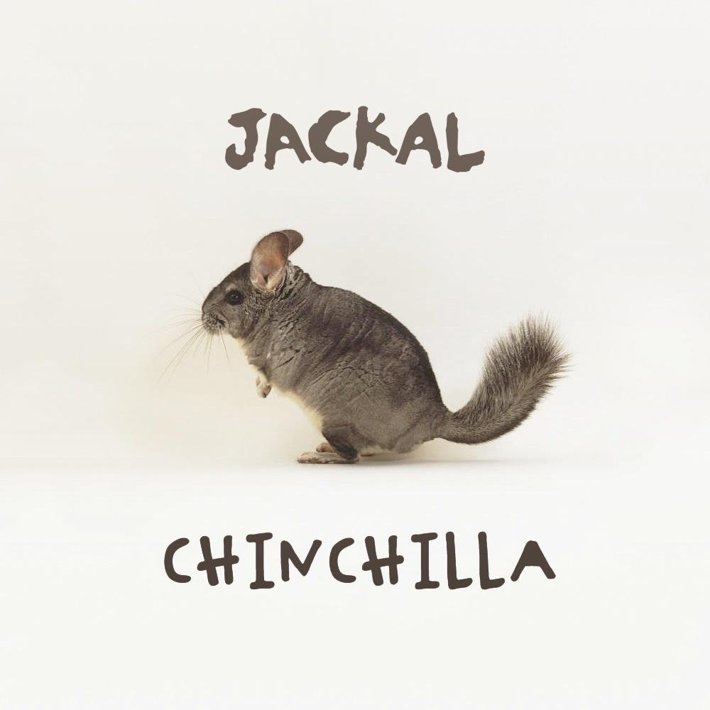 Chinchilla (Original Mix)