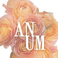 Anum