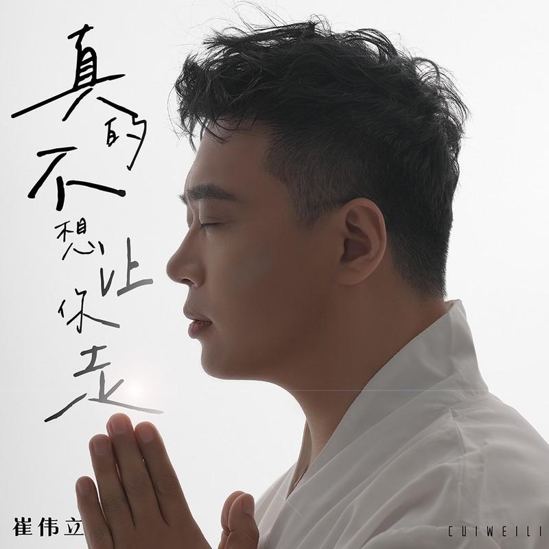 真的不想让你走 - 崔伟立封面