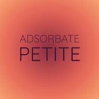 Adsorbate Petite