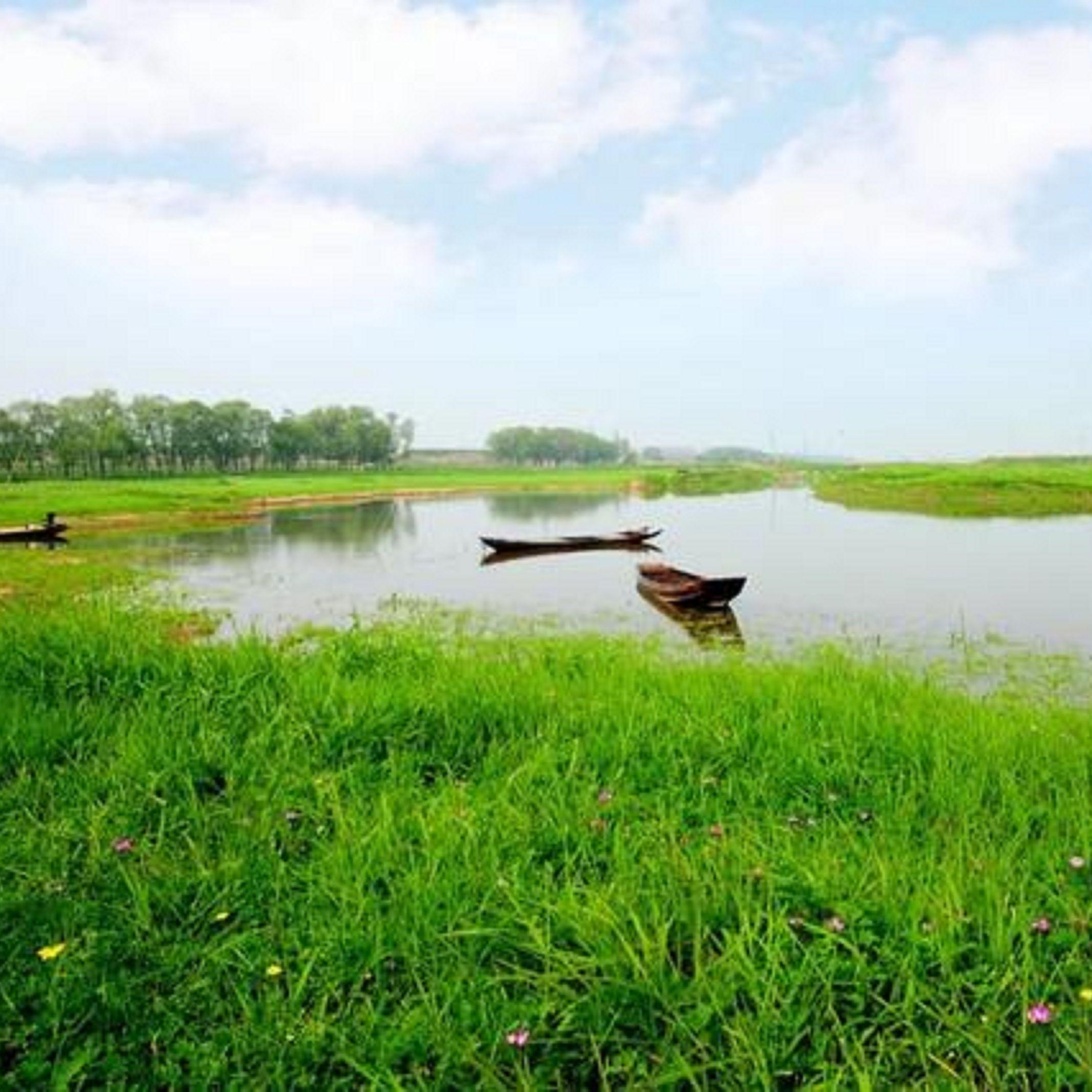 生命如花（丁毅演唱）