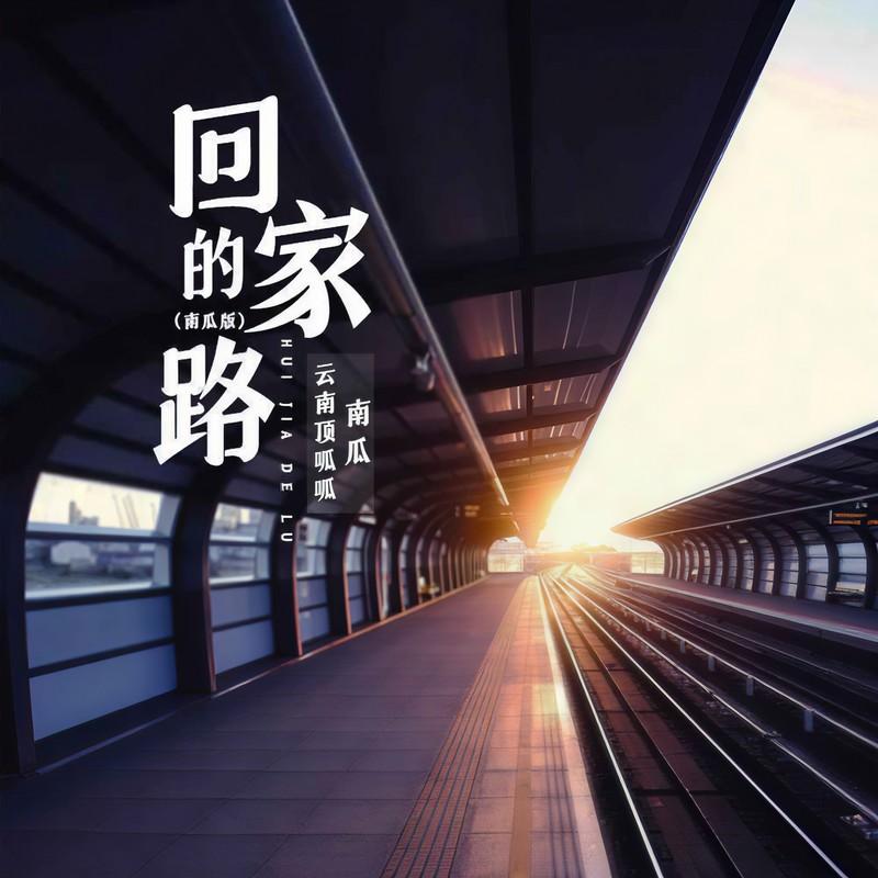 回家的路 (DJ彭锐版伴奏) - 云南顶呱呱南瓜封面