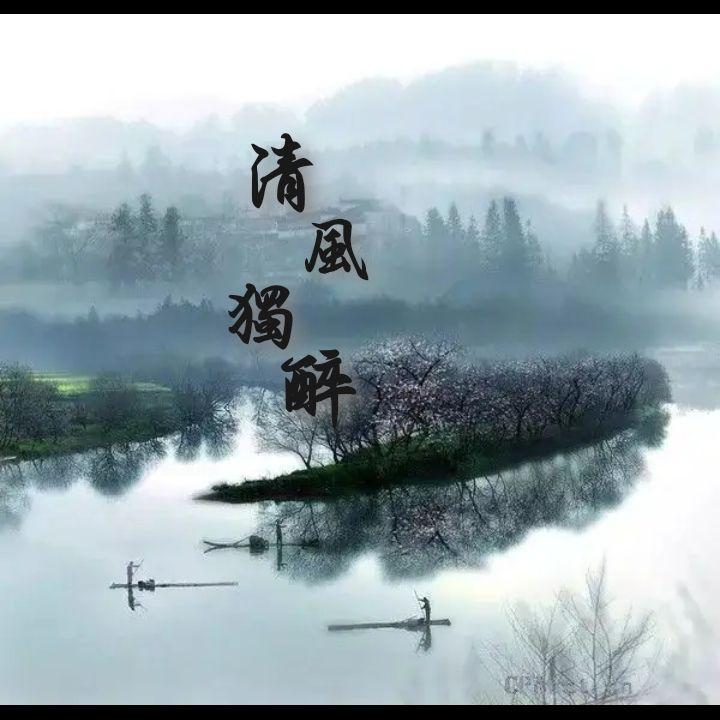 清风独醉封面