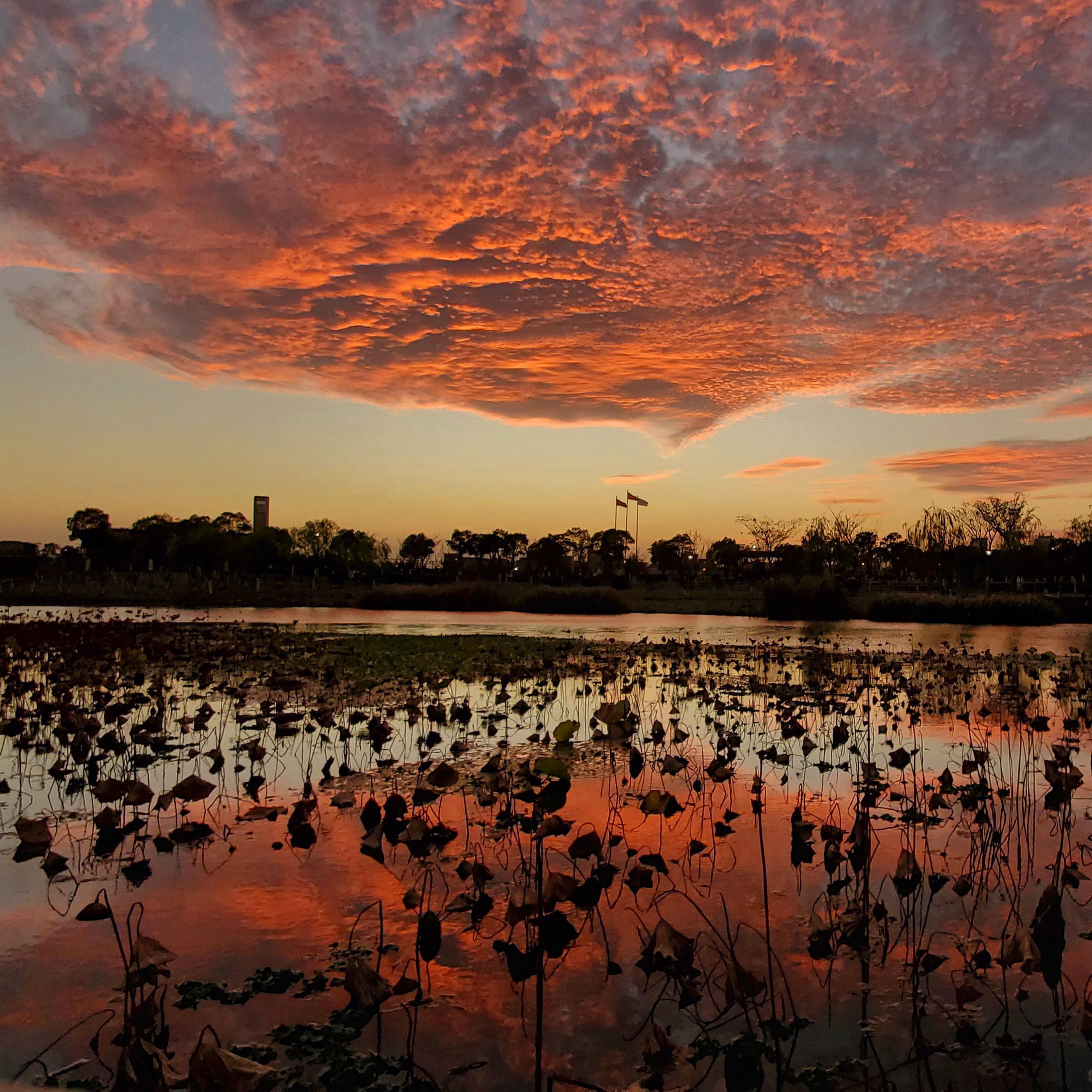 送你一朵小红花