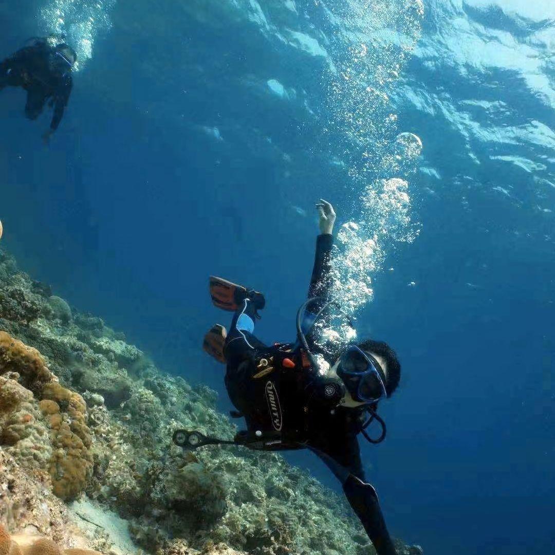 被风吹过的夏天