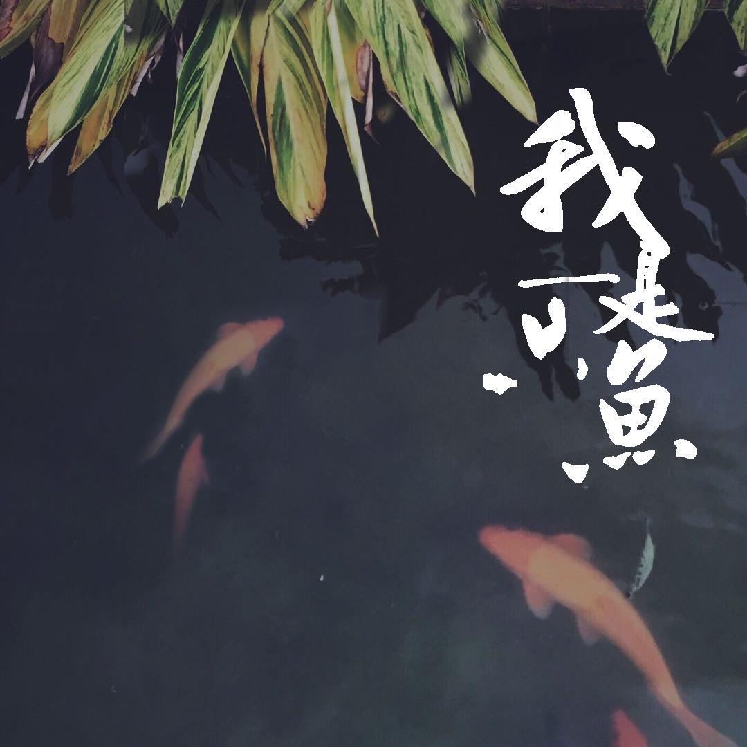 我是一只鱼_根根干嘛了_我是一只鱼 | 在线播放_我是一只鱼歌词_我是一只鱼下载 | 网易云音乐