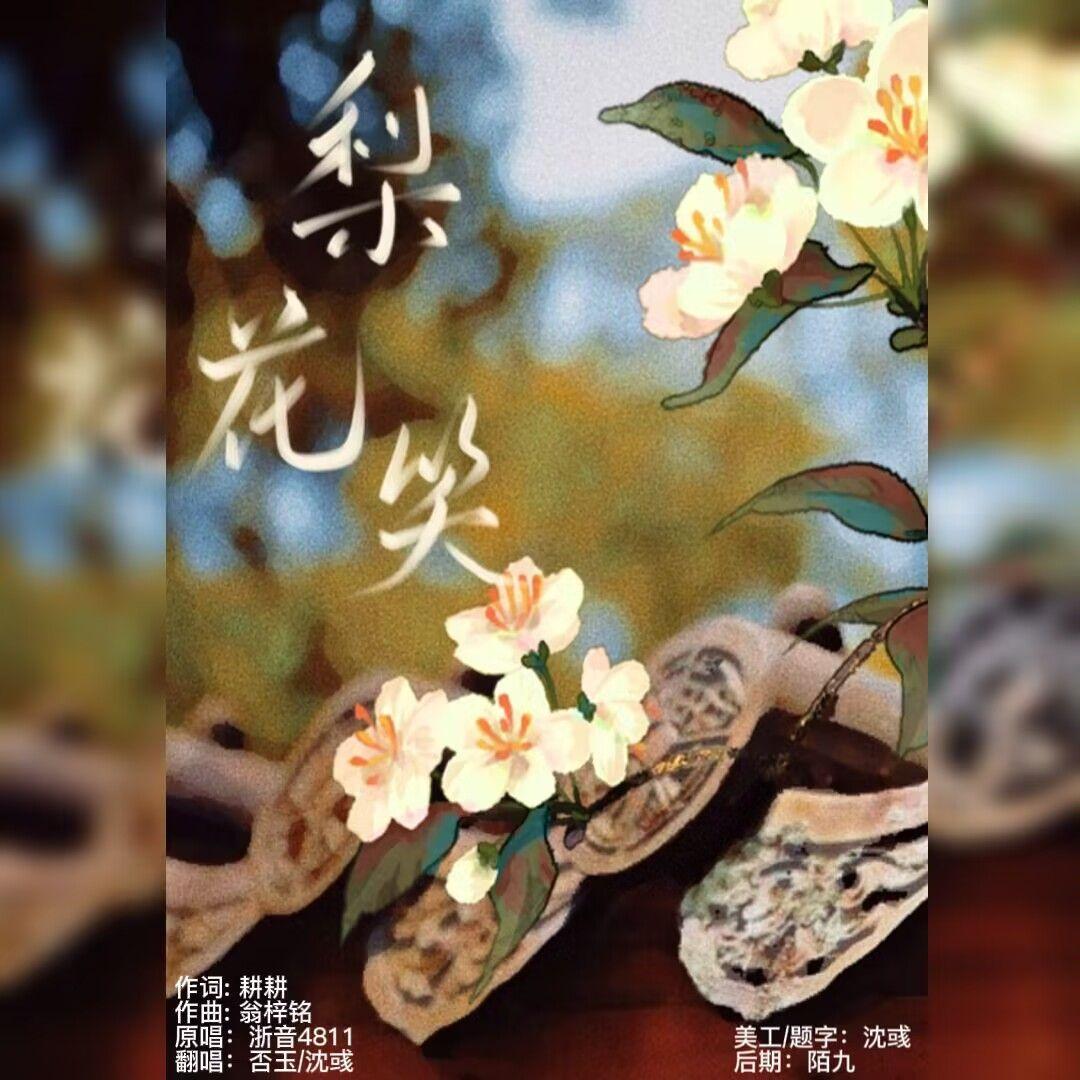 梨花笑封面