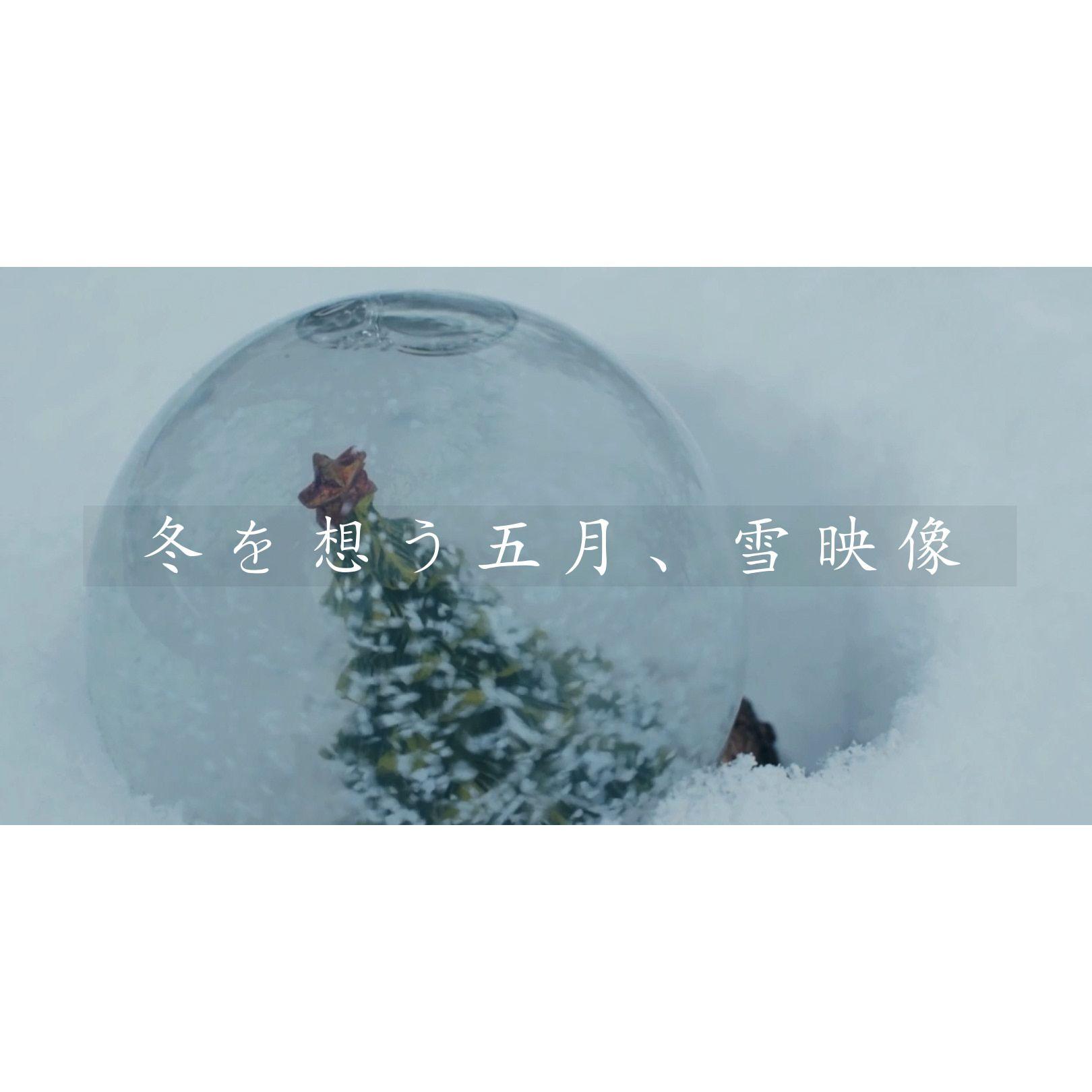 冬を想う五月、雪映像