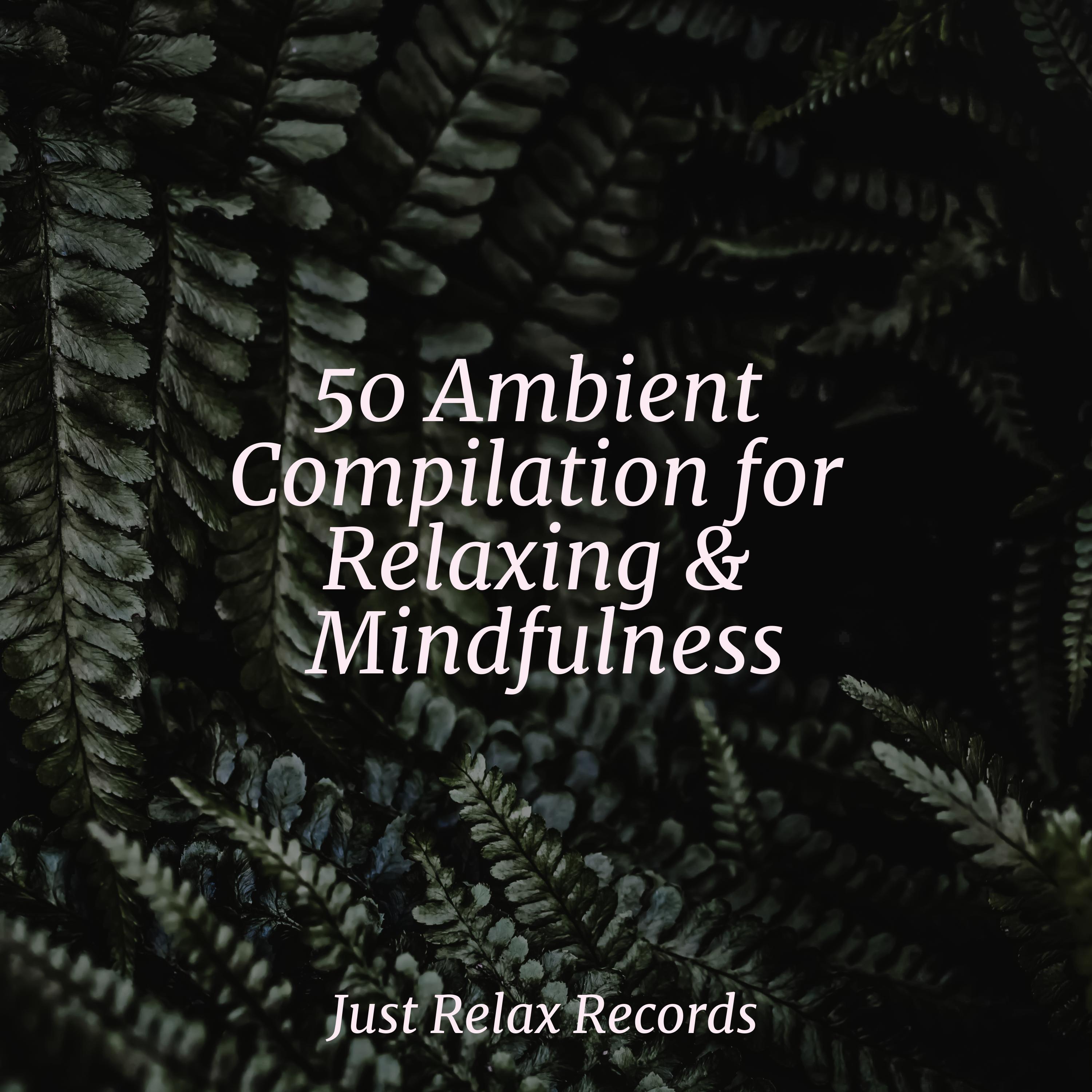 50 Ambient Compilation for Relaxing & Mindfulness Nursery Rhymes Club