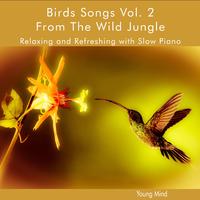 Birds Songs Vol. 2 From The Wild Jungle Relaxing and Refreshing with Slow Piano