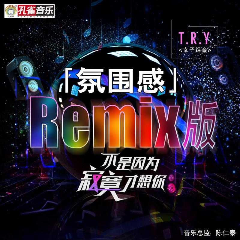不是因为寂寞才想你 (氛围感Remix版)