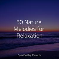 50 Nature Melodies for Relaxation For Dogs