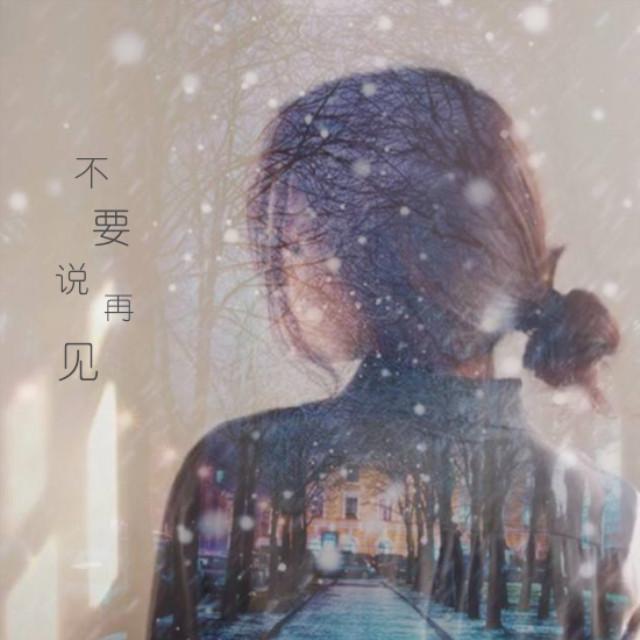 李老板 我不想伐树