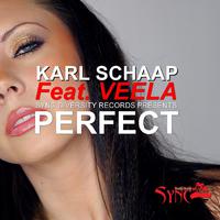 Perfect (feat. Veela)