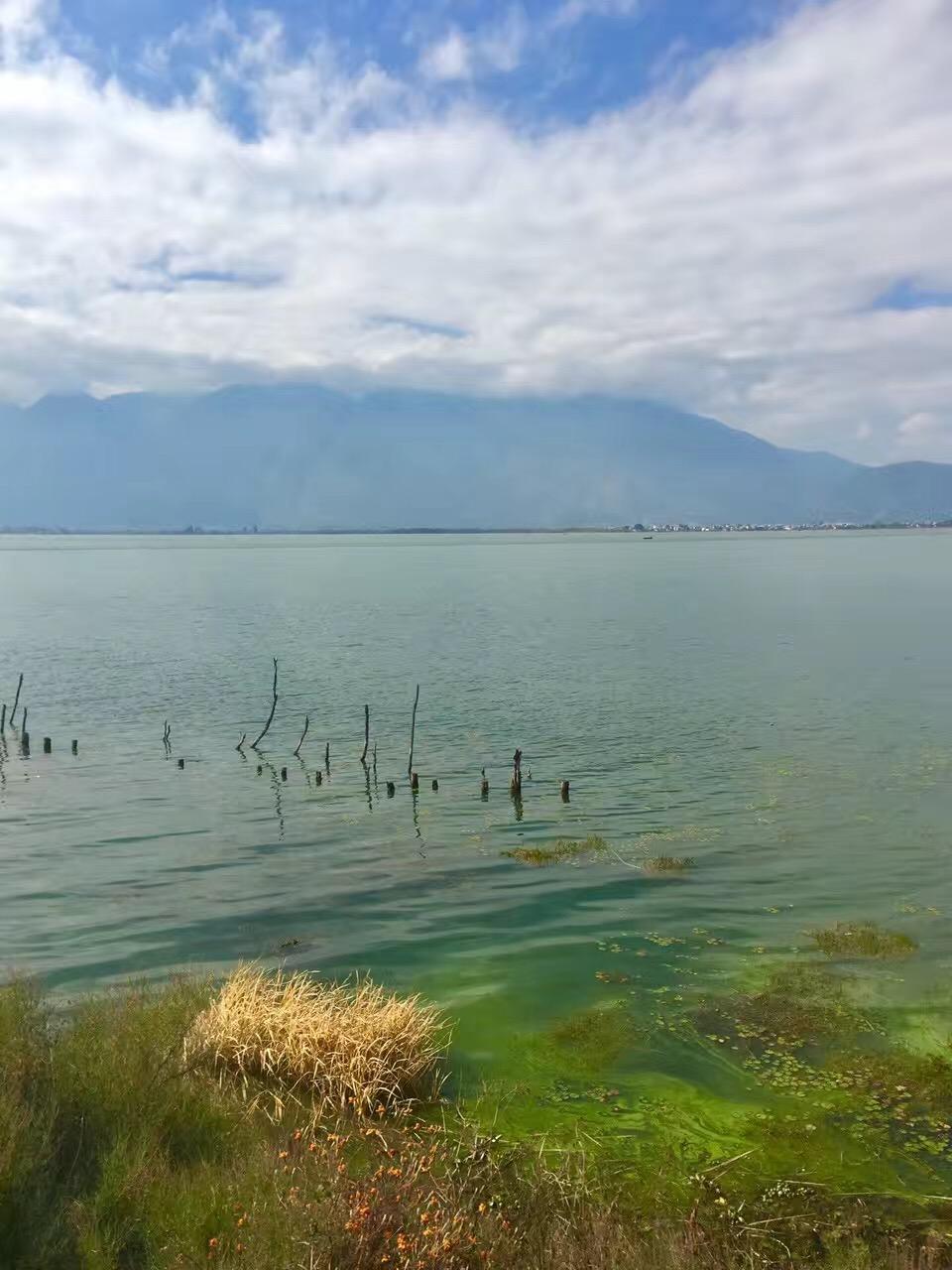 从前的我 - 李茂封面